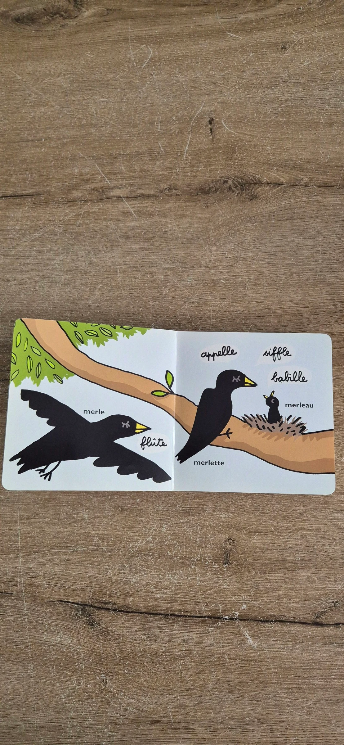 O livro dos gritos – photo 9